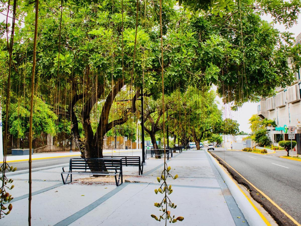 Super Luxurious L6 Sky Blue Apartment Santo Domingo Exterior photo