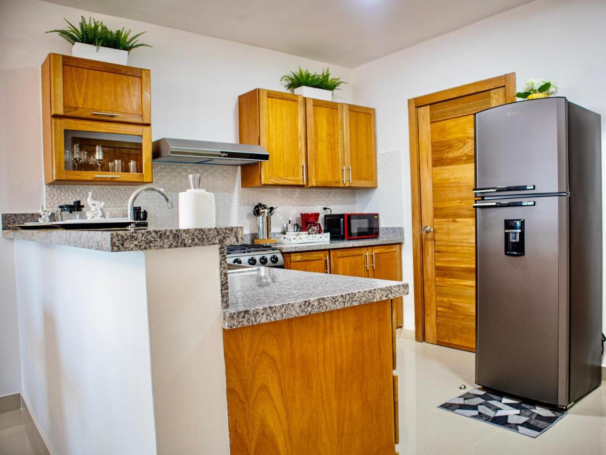 Super Luxurious L6 Sky Blue Apartment Santo Domingo Exterior photo
